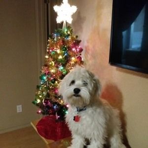 Meet your Posher, Becky